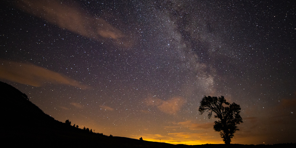 Starts with the milky way and a tree silhouette 