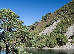 The Green Lochan at Allt Mor, with trees on the hill to the side, and blue skies