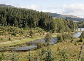 Lochside section of Three Lochs Forest Drive