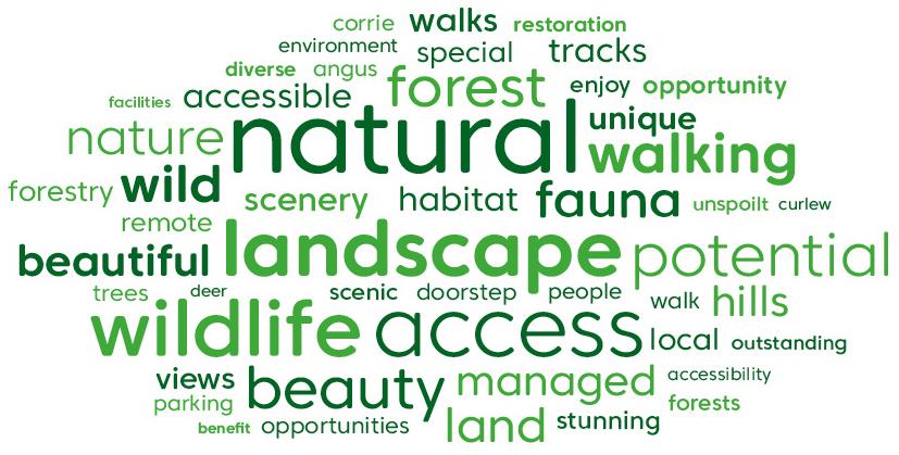 Scoping consultation feedback word cloud showing top 50 most commons words in response to the question: what is special about the forest and land in Glen Doll and Glen Prosen to you? Words are: natural, walking, fauna, unique, habitat, scenery, remote, forestry, wild, nature, accessible, forest, enjoy, opportunity, tracks, environment, diverse, corrie, angus, walks, special, fauna, unspoilt, trees, wildlife, access, local, people, outstanding, managed, doorstep, beauty, views, parking, forests, stunning, land, benefit, scenic
