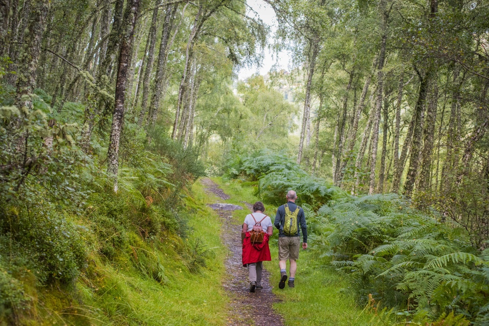 Two people walking on a woodland trail