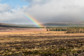 A sunny meadow with a rainbow and clouds