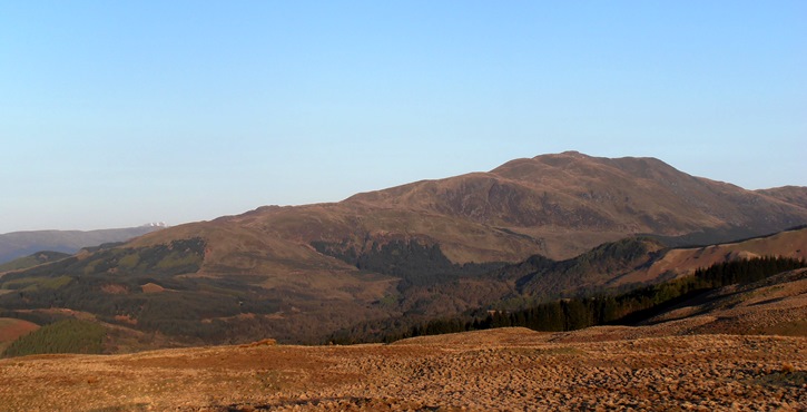 View over moorland towards a forested hillside