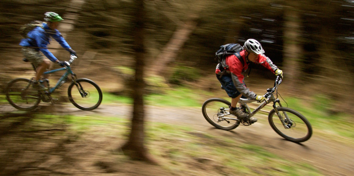 Two men on mountain bikes cycling through a forest