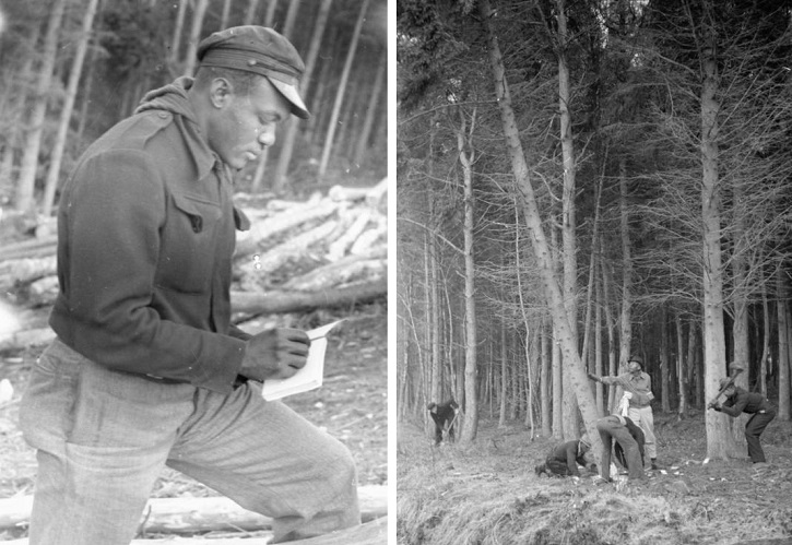 Two black and white photos of the British Honduran Forestry Unit working in the woodlands during WW2.