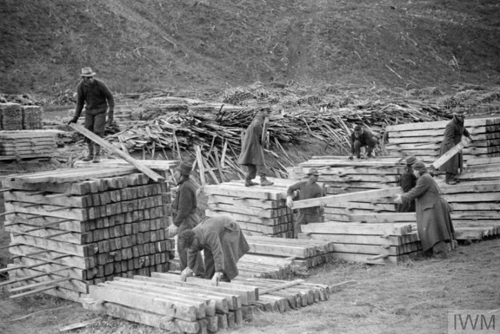 A black and white photo of members of the British Honduran Forestry Unit organising stacks of timber. 
