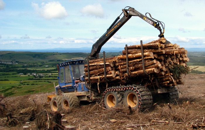 A log filled forwarder parked on a forestry site. 