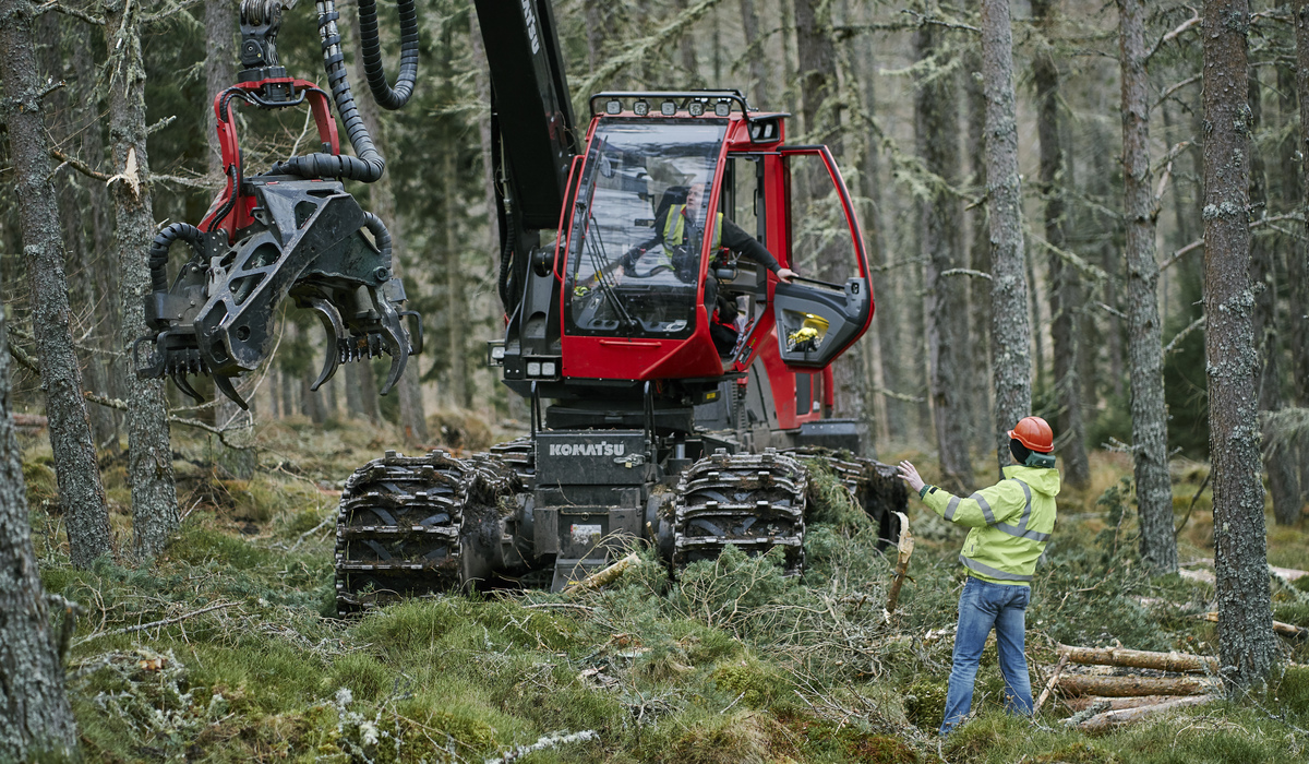 Man in high visibility jacket directing a harvester machine in a forest