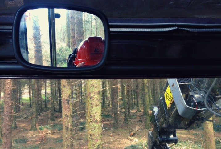 View from forest harvester's cab of a boom holding a tree and a rear view mirror looking back