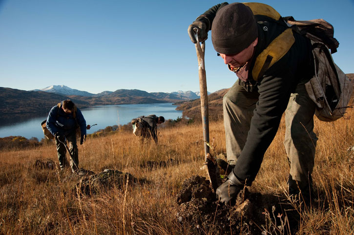 Men planting tree saplings at Loch Katrine