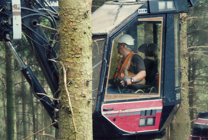 Man in a forest harvester cab operating in a dark forest