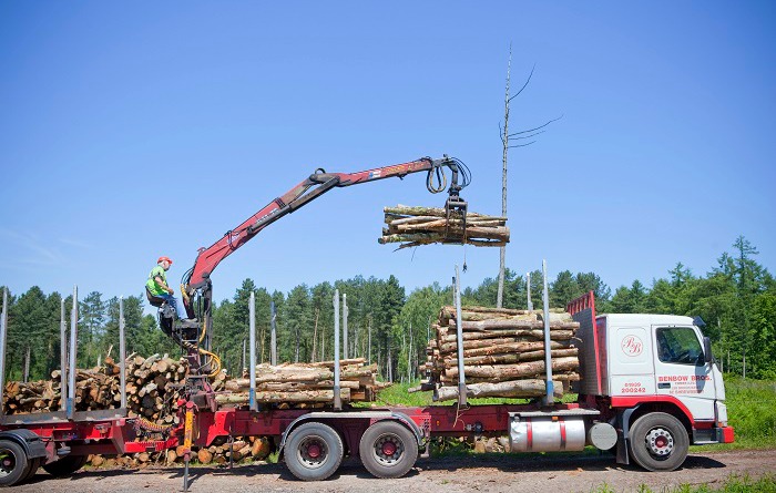 A man in high-vis operates a timber lorry full of logs. 