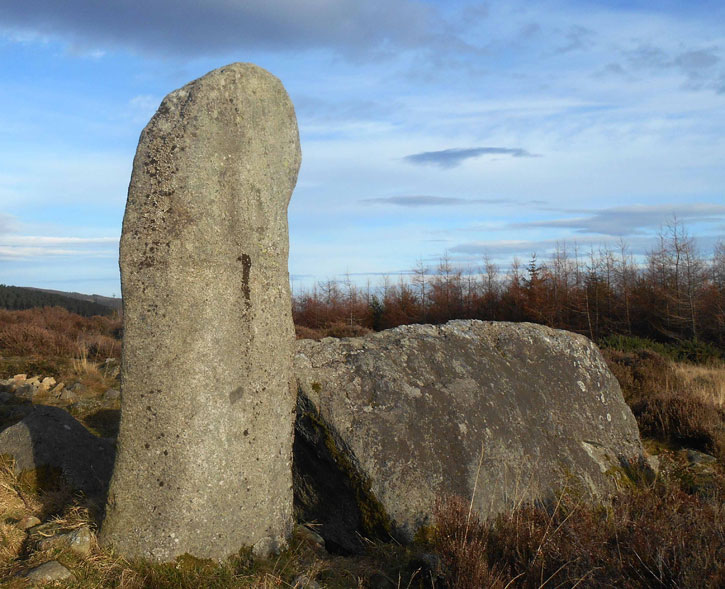 Stone circle at Whitehills