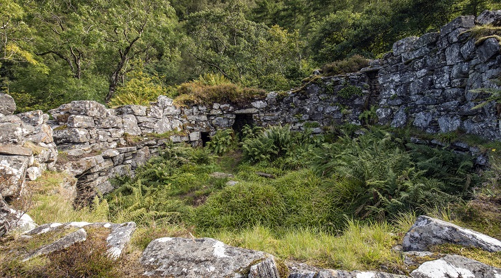Ancient grey stone dwelling on hillside amongst over grown green gasses and bracken
