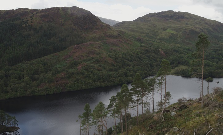 View over a small loch to a heavily forested hillside