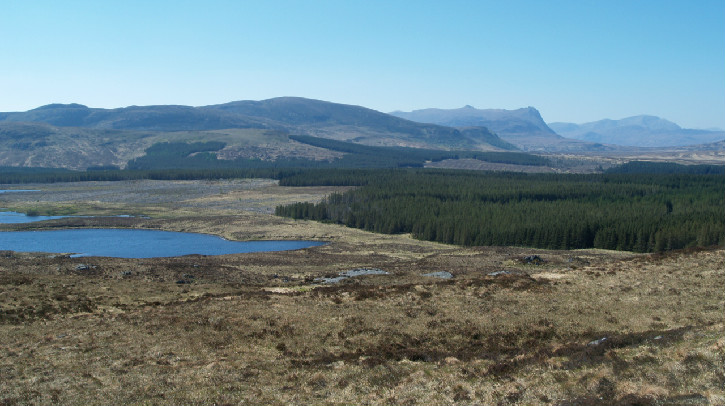 Landscape view of tussocky heather to a body of water with distant hills beyond and blue sky above