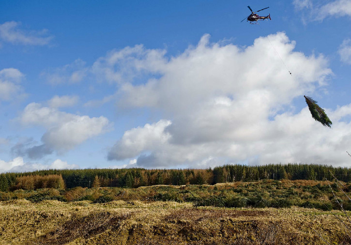 Helicopter towing a large tree via a rope across some wild land with blue sky above