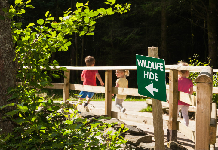 Children playing in a forest setting next to a fence and sign pointing to a nearby wildlife hide