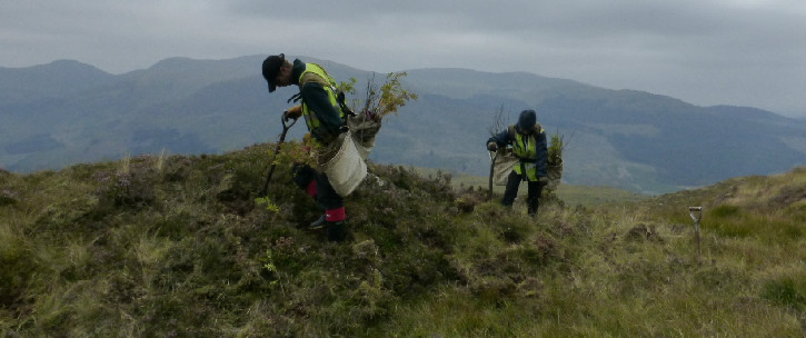 Two people high on a hill in hi-vis vests planting young trees