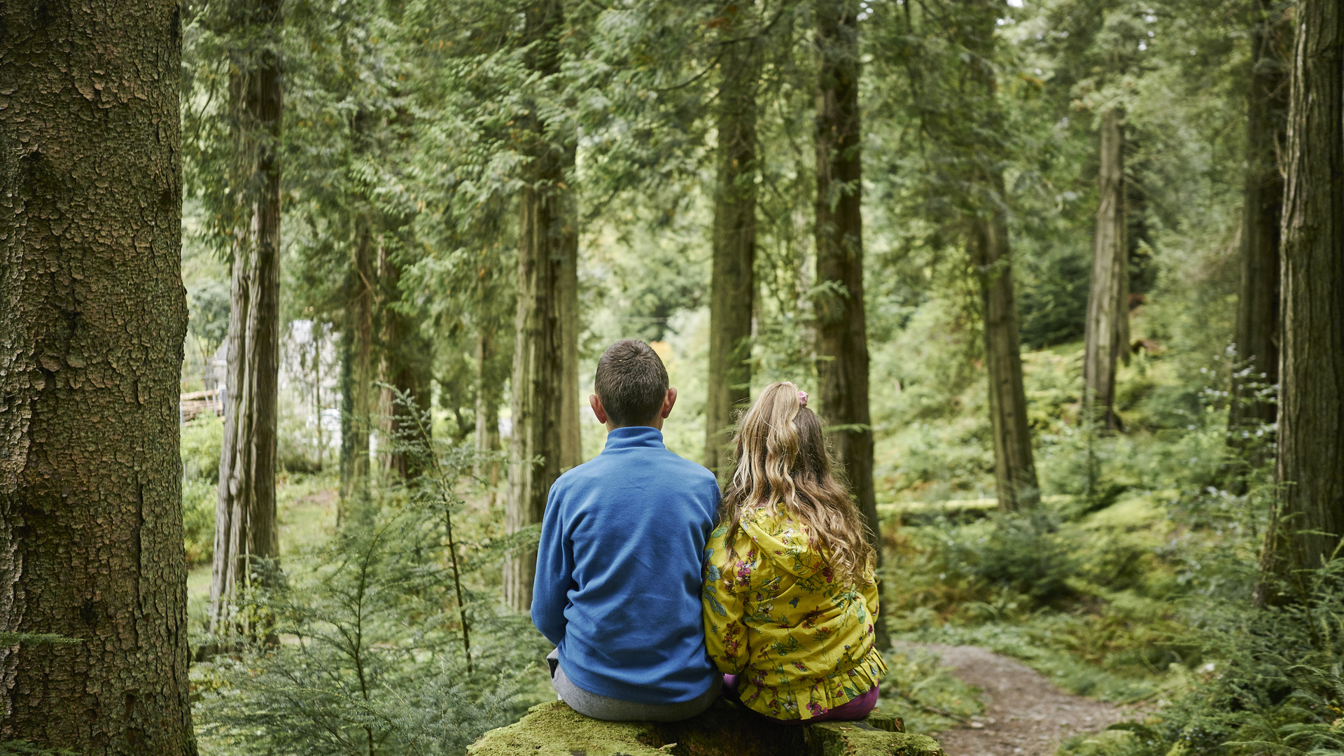 Two children sit together, facing away in a lush forest. 