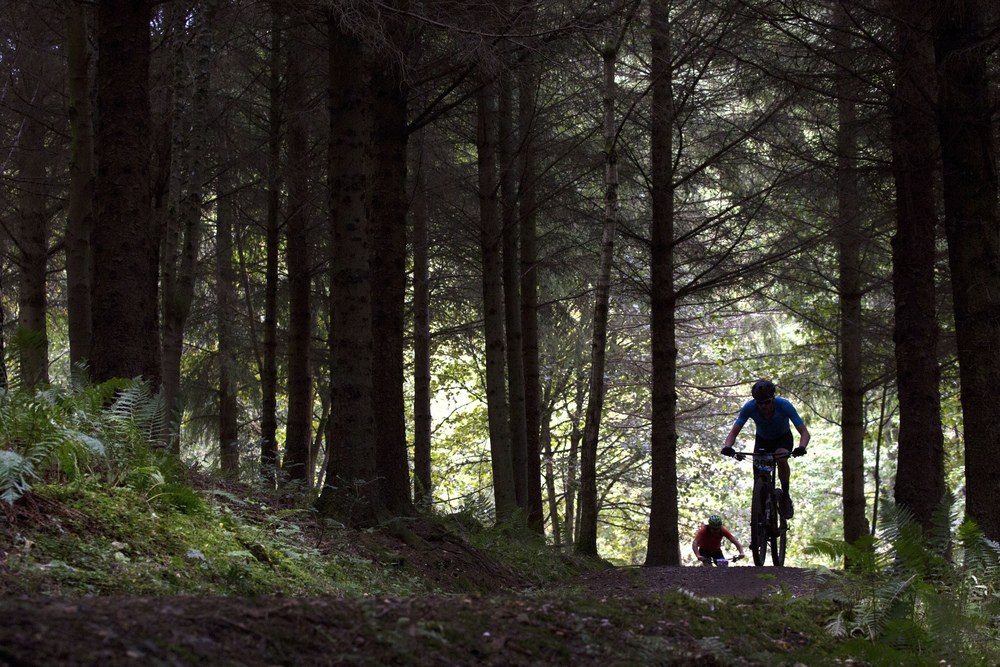 Silhouette of someone cycling mountain bike through Cardrona Forest