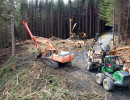 Forestry equipment on a hill surrounded by firs 