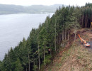 A shot of forestry equipment on a hillside over a loch