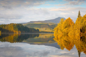 Yellow trees next to a calm loch