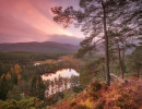 Pink sky over forest and loch