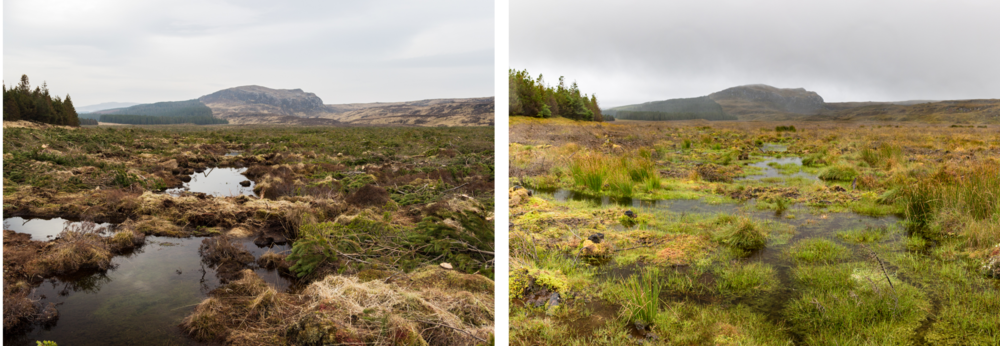 A before and after image of peatland restoration