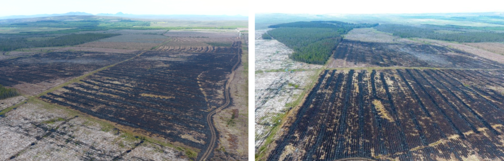 Two photos of burnt fields next to a peatland