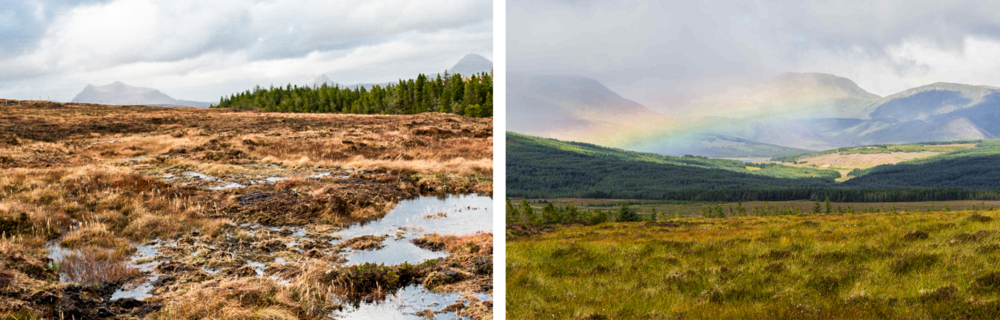 Two peatlands after restoration, one with a rainbow
