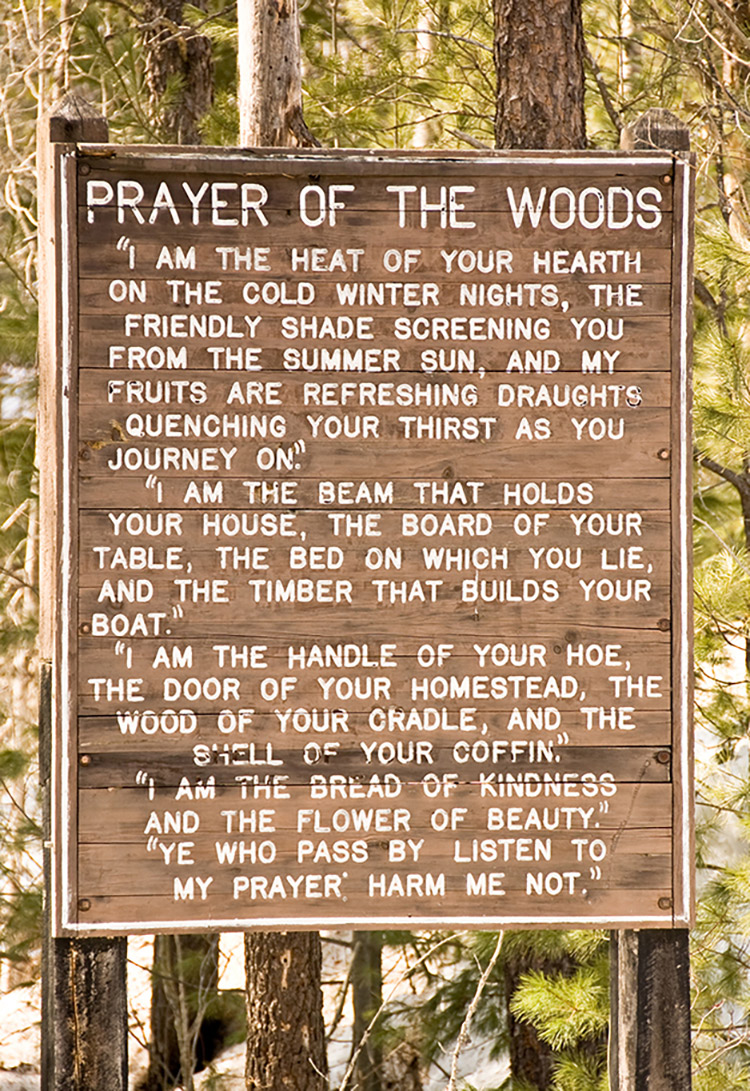 Wooden sign with white writing situated in a woodland setting showing text pertaining to the Prayer of the Woods