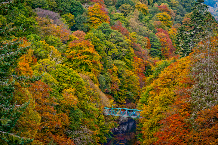 autumn colours perthshire