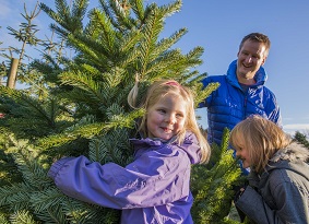 Man and two small girls carrying a Christmas tree