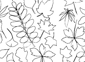 Colouring in sheet featuring various leaves from trees