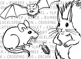 Hand drawn illustrations of woodland creatures in black and white, including squirrel, mouse and bat