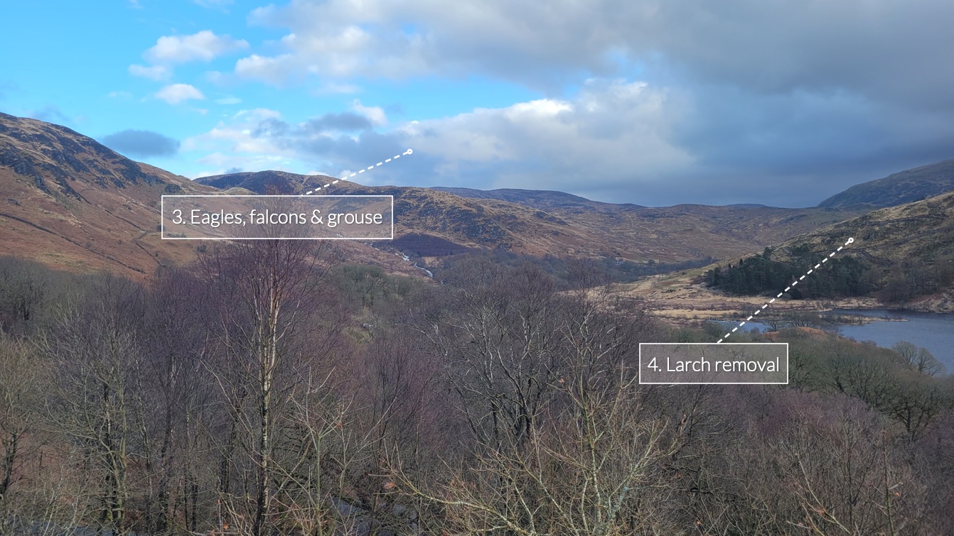 Large valley with bare slopes and woodland lower down with a loch and blue skies, with two text annotations