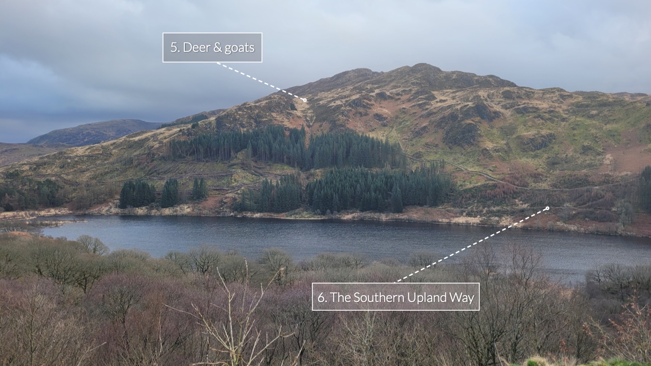 Mixed wood hillside across a narrow loch under grey clouds, with two text annotations