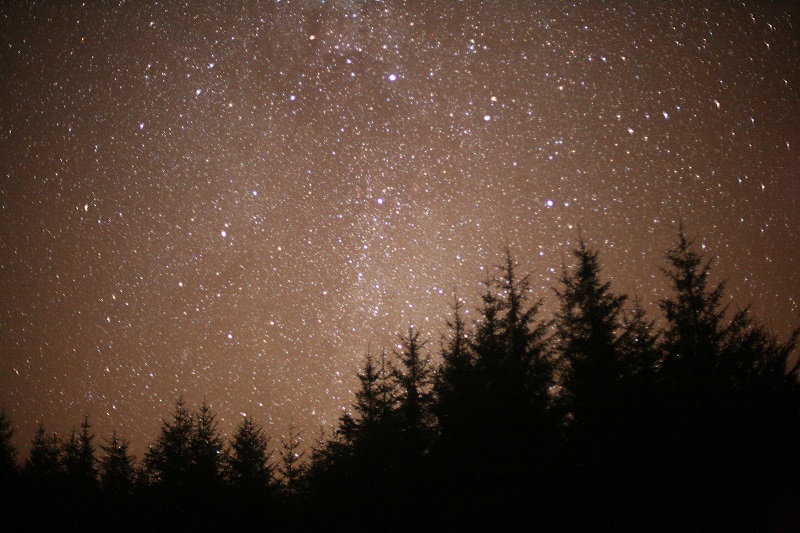 View of the night sky with lots of stars with the dark outline of a forest below