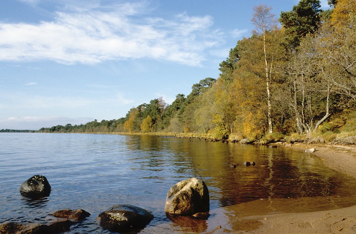 View from the shore of a loch looking over the water with green-leaved trees at the shore