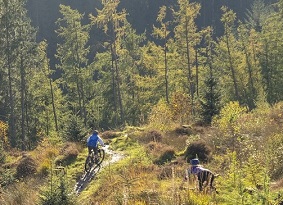 Two mountain bikers riding at speed down a steep, forested hill