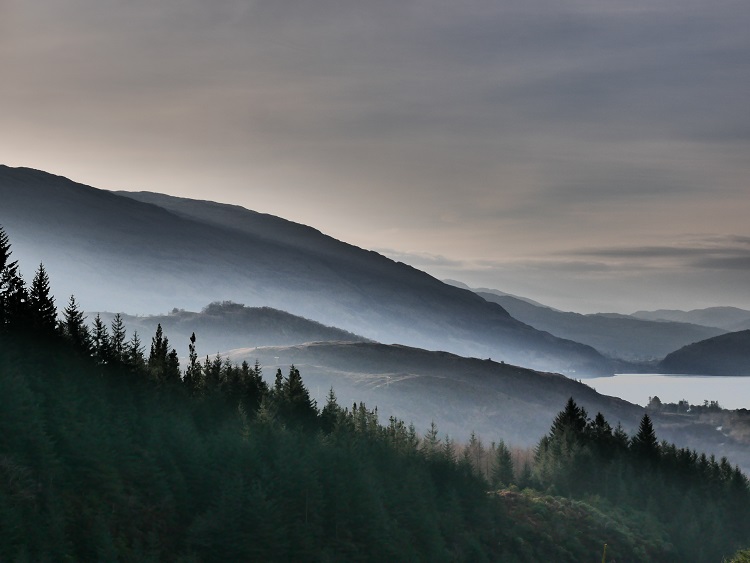 View across hillsides covered in coniferous trees with mist rising