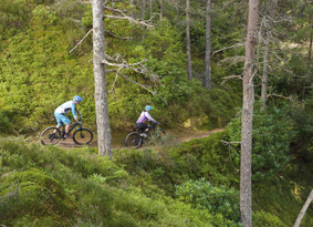 Two mountain bikers riding along a tree-lined trail above a ravine