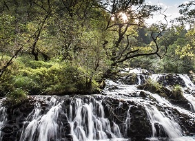Wide waterfall flowing beneath trees