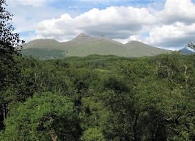 View over tree-covered Glen Nant to Ben Cruachan mountain