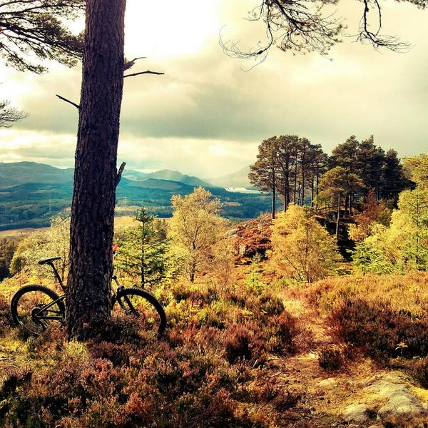 Bright autumnal coloured trees under cloudy skies with mountain bike in foreground
