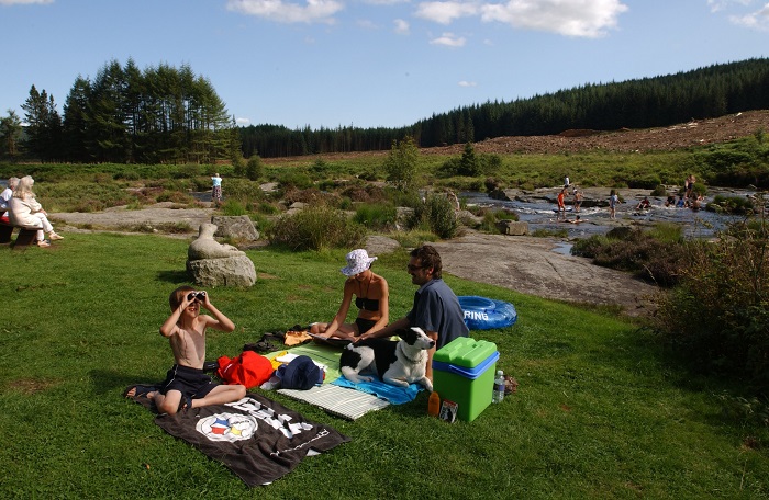 Several families enjoying a picnic on a sunny day near a river on a grassy field