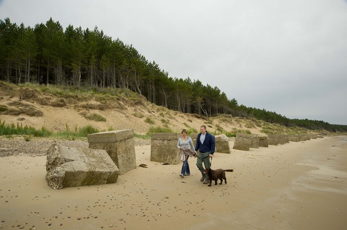 Two people and a dog walking along a sandy beach