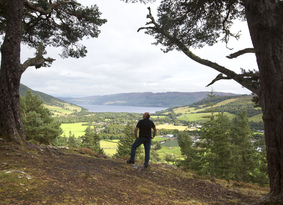 Man dwarfed by two trees looking across fields and a loch from a hilltop